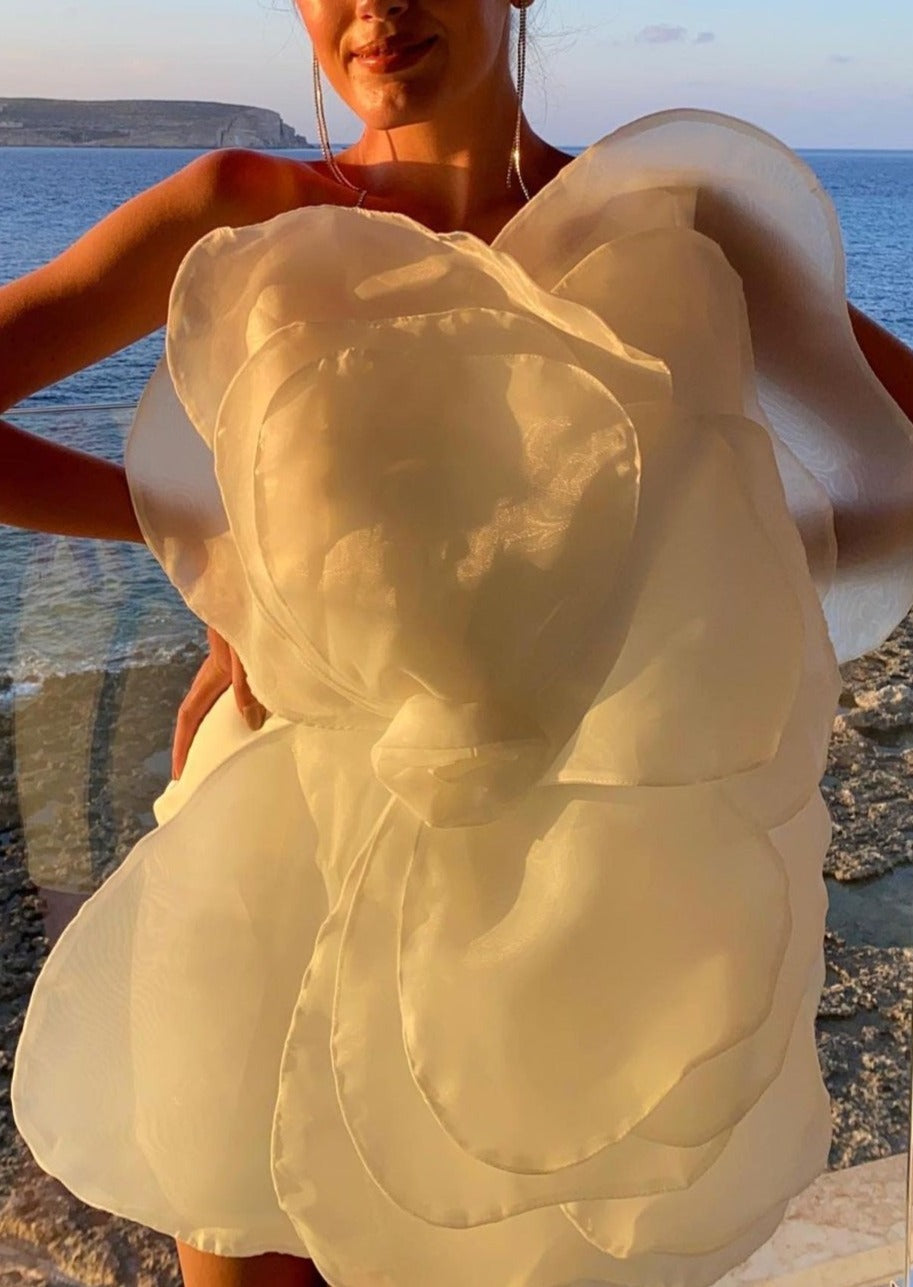Eden 3D Appliqué Dress