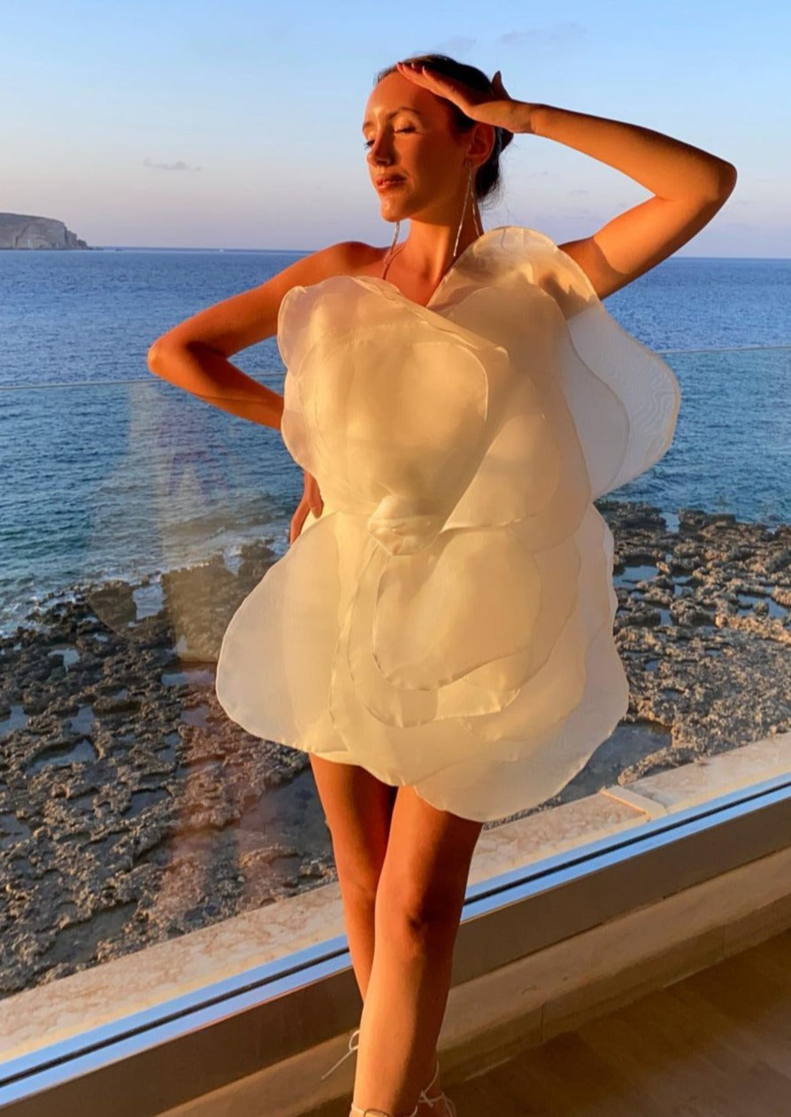 Eden 3D Appliqué Dress