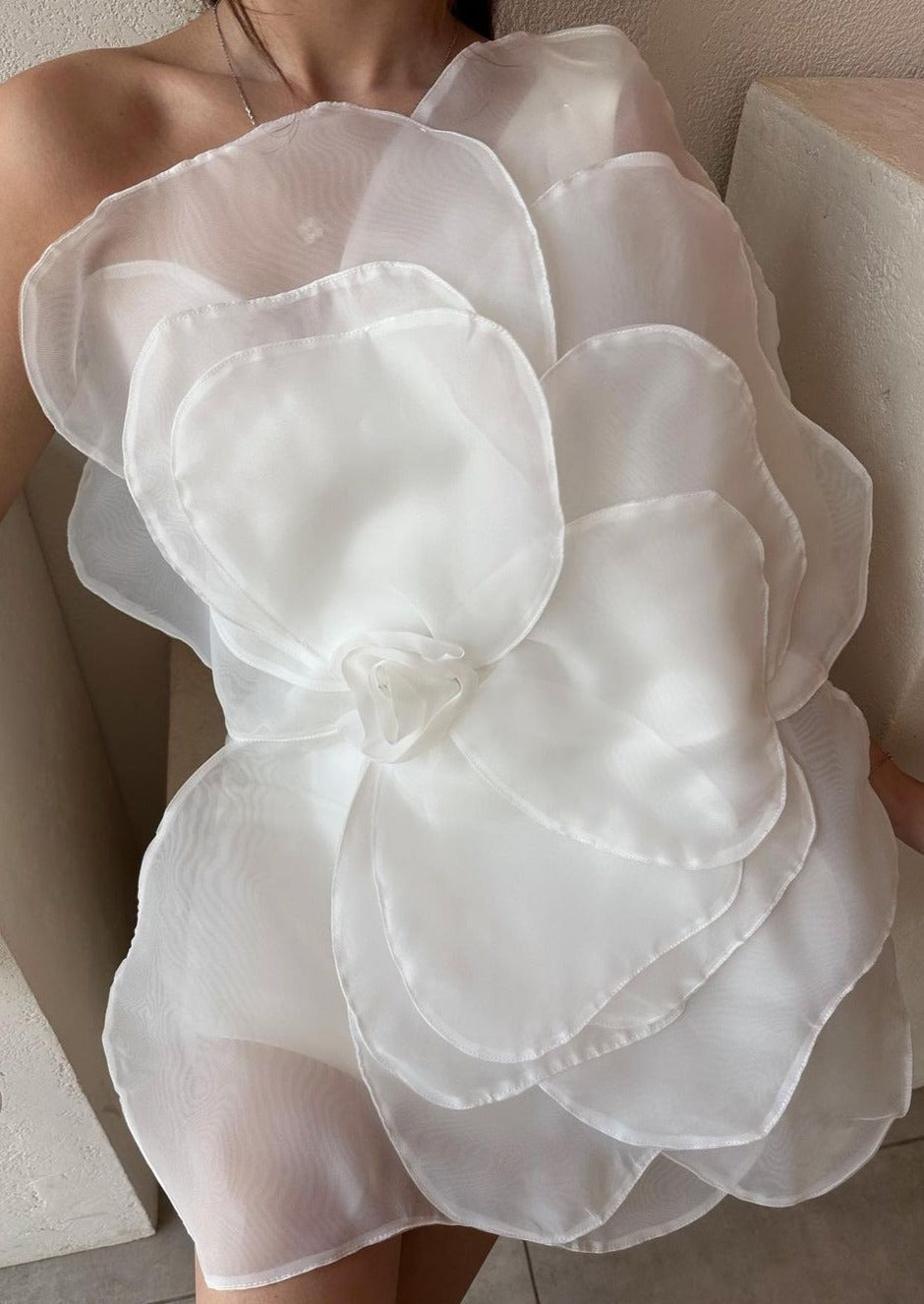 Eden 3D Appliqué Dress