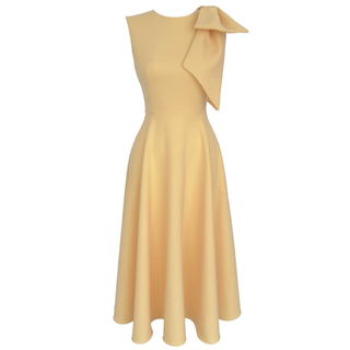 Sophia Flared Dress